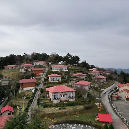Tarika Resort & Spa , Chail Zewnętrze zdjęcie
