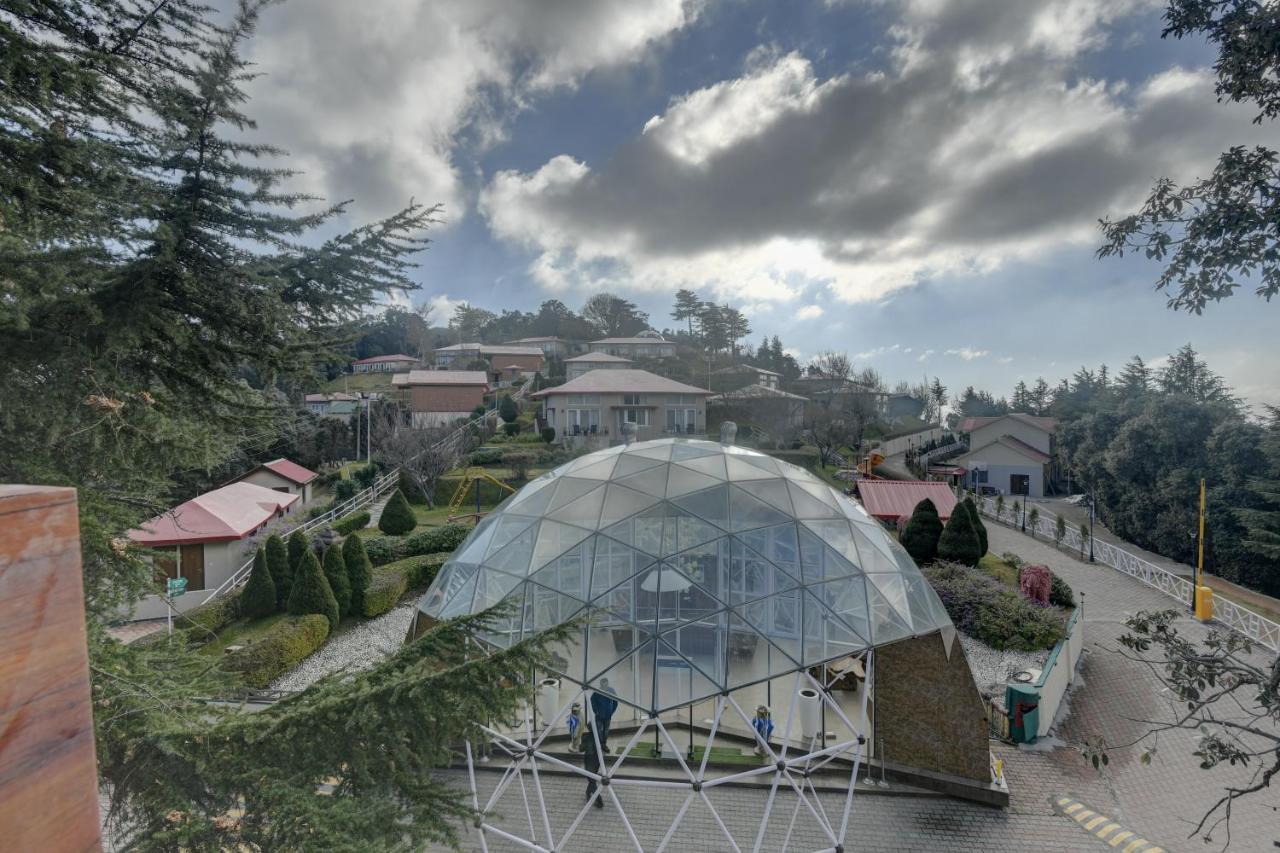 Tarika Resort & Spa , Chail Zewnętrze zdjęcie