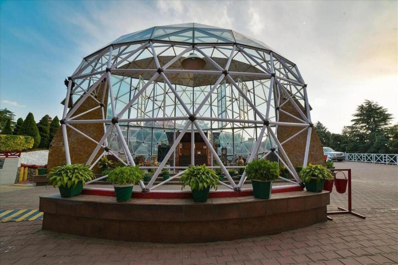 Tarika Resort & Spa , Chail Zewnętrze zdjęcie